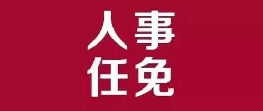 临县审计局人事任命揭晓，开启审计事业崭新篇章