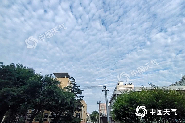 大安桥社区天气预报最新详解