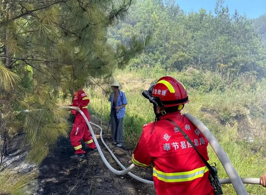 奉节县数据和政务服务局招聘公告解析