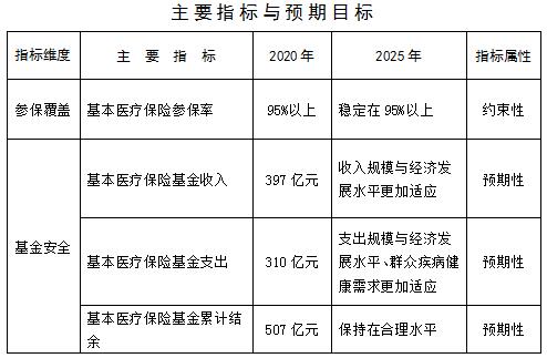 集贤县医疗保障局最新发展规划概览