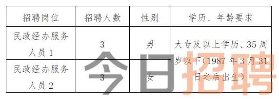 连江县民政局最新招聘信息及相关内容深度解析