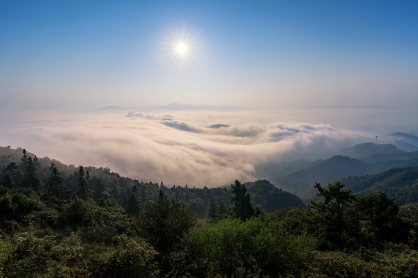 长山乡最新天气预报