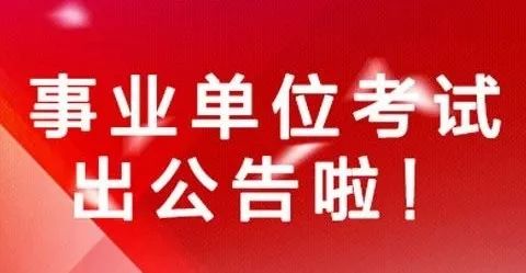 珙县审计局最新招聘启事