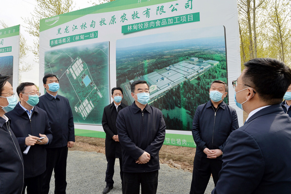 林甸县民政局新项目，县域社会进步与民生改善的关键驱动力