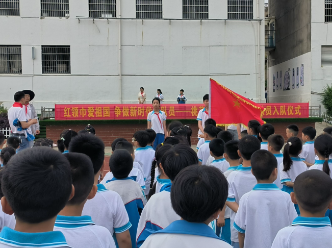 孝南区小学最新项目，塑造未来的教育蓝图