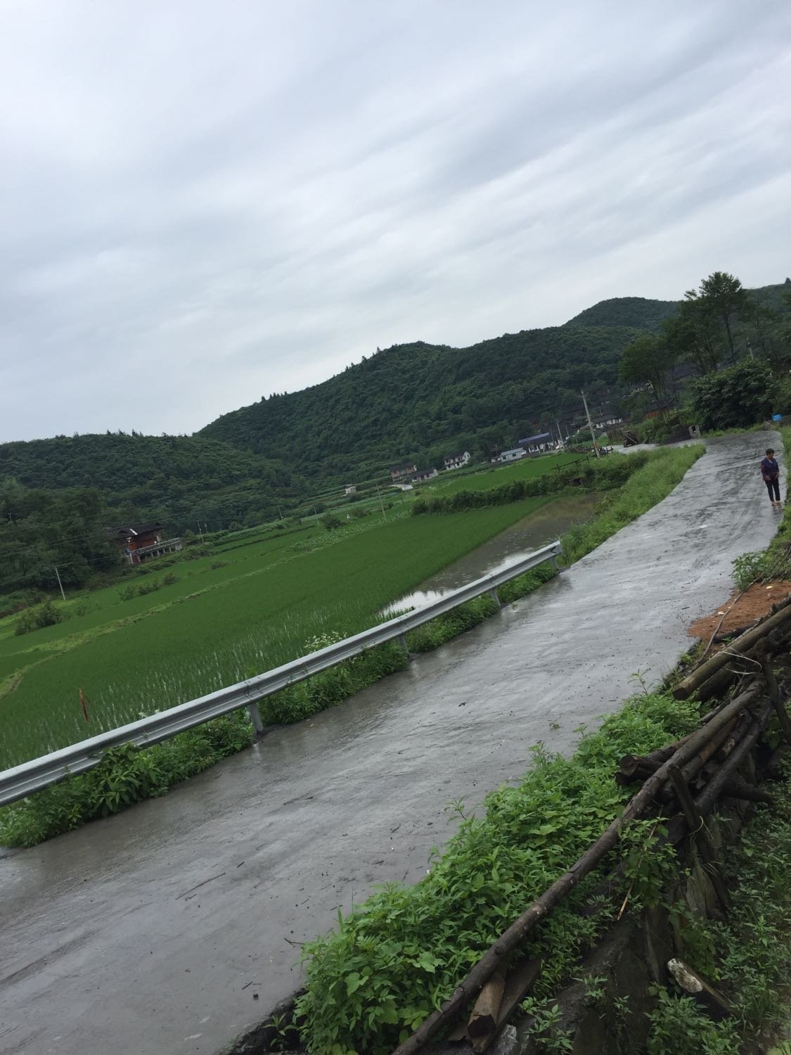 雅龙乡天气预报更新通知