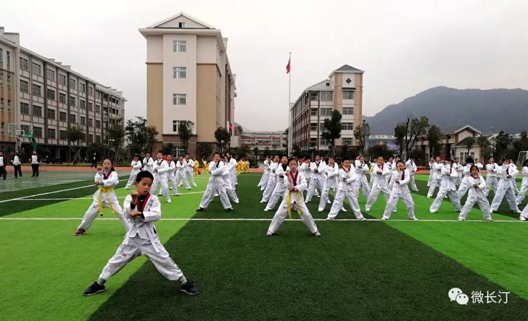 长汀县小学未来教育蓝图，最新发展规划揭秘