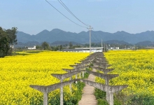 石练镇天气预报更新通知