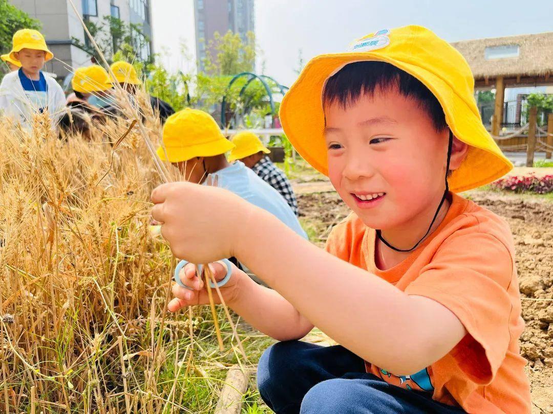 雨花台区发展和改革局最新新闻概览