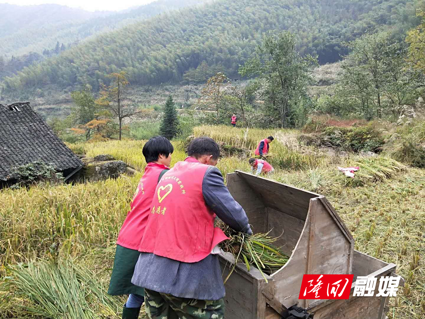 麻塘山乡，最新发展动态与社区新貌报道