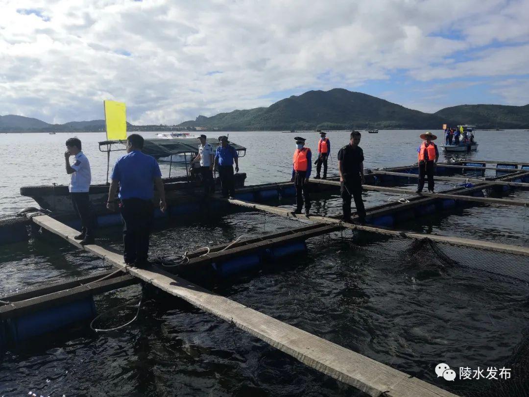 陵水黎族自治县公安局推动智能化警务建设，提升社会治安水平新进展