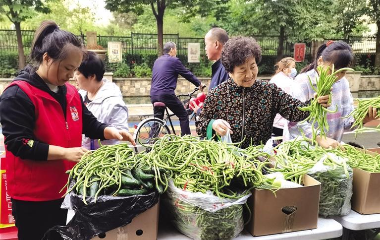 菜蔬街社区最新项目，重塑城市生活的新篇章