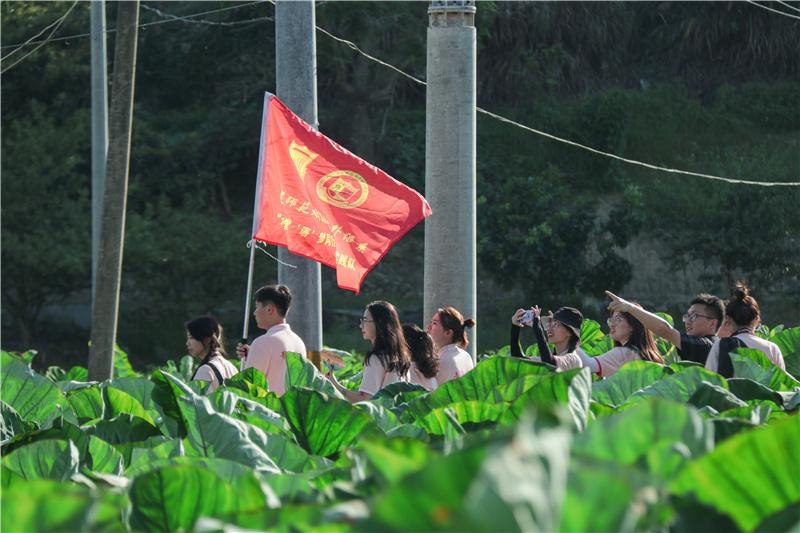 嵩口镇新项目，引领地方发展的强大引擎