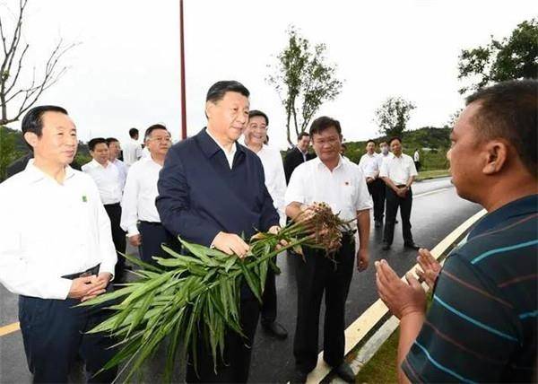 玉洪瑶族乡人事任命揭晓，新一轮力量推动地方发展