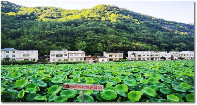 水泉镇最新项目，引领地方发展的强大引擎