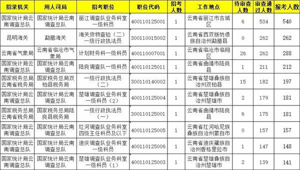 丽江市企业调查队未来发展规划展望