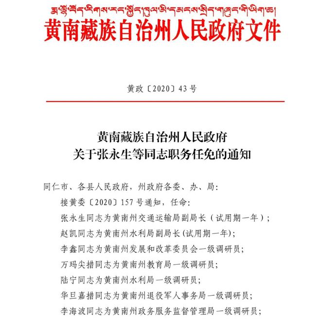 大团镇人事任命揭晓，开启地方治理现代化新篇章