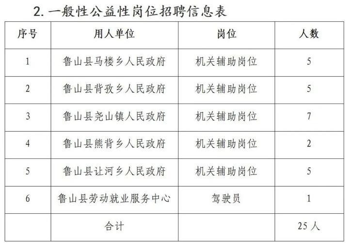 鲁山县应急管理局最新招聘公告概览