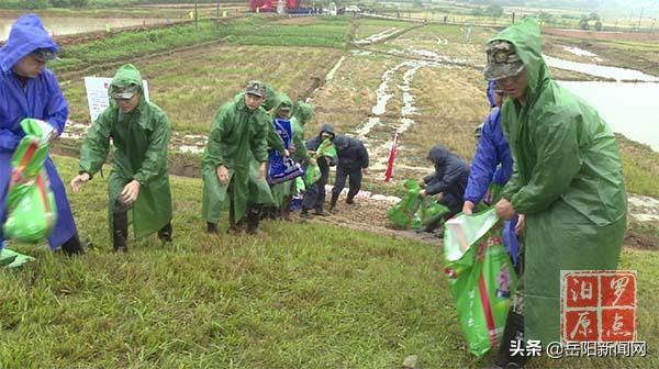 屈子祠镇天气预报更新通知