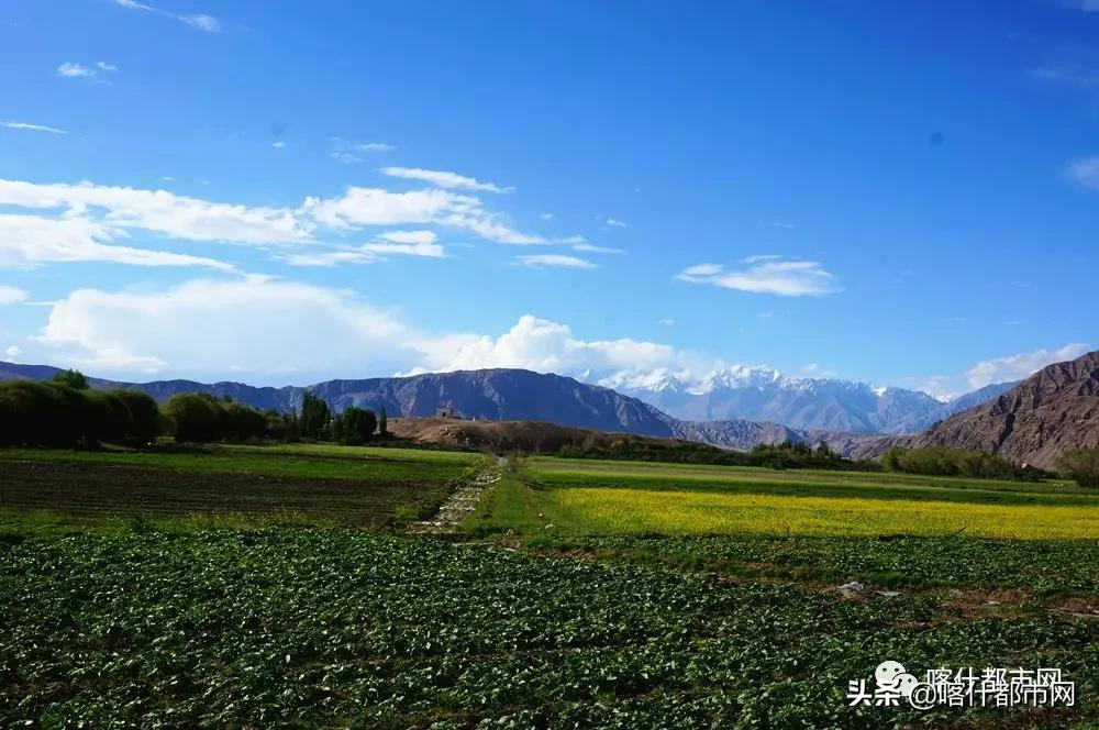 喀什地区市旅游局最新动态报道