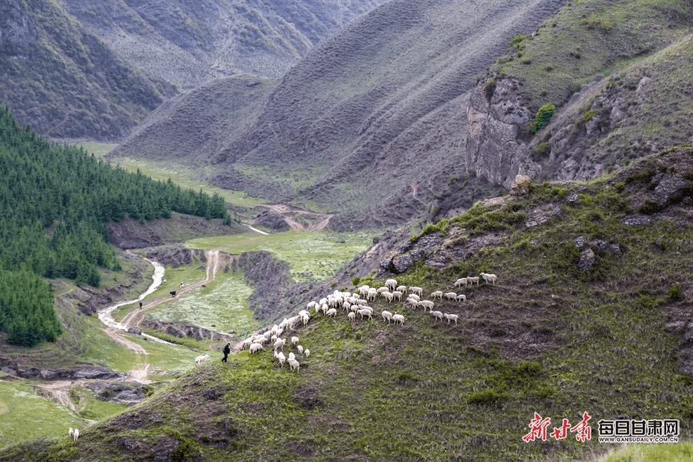 麻武乡新项目，乡村发展的强大引擎驱动力