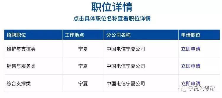 灵武市人民政府办公室最新招聘公告解读