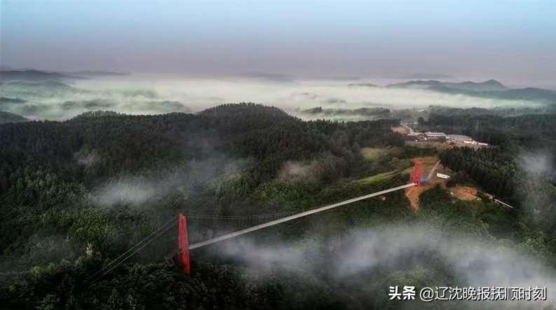 清原满族自治县市场监督管理局最新发展规划深度探讨