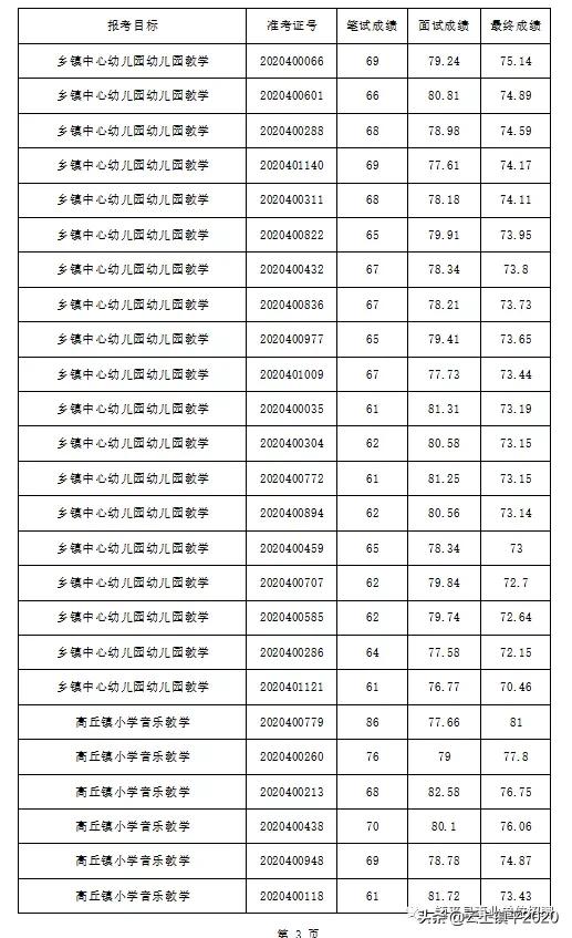 夜色中的猫