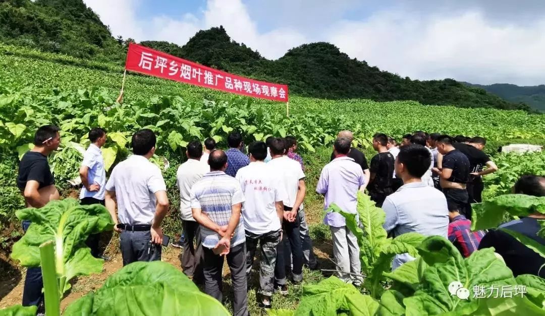 烟坪乡新领导团队引领发展新征程