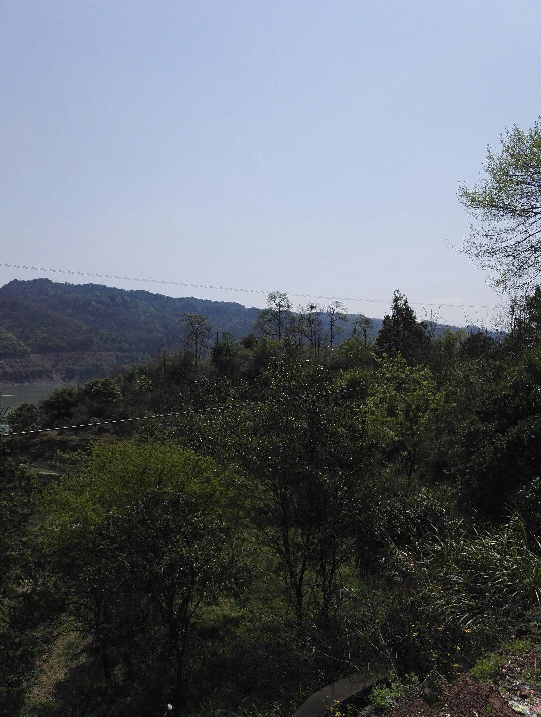 白鹤山乡天气预报详解